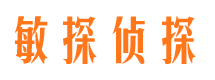 江城市私家侦探